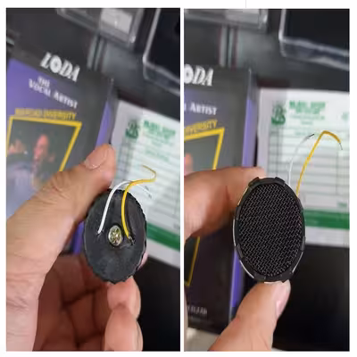 کپسول میکروفن لودا مدل MS-808