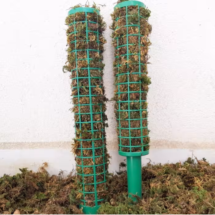 قیم بند  کد 90cm بسته 3 عددی