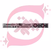 HPE DL360 G11 4510 2x32GB 8SFF NS204 MR408 2x800W P81578-375