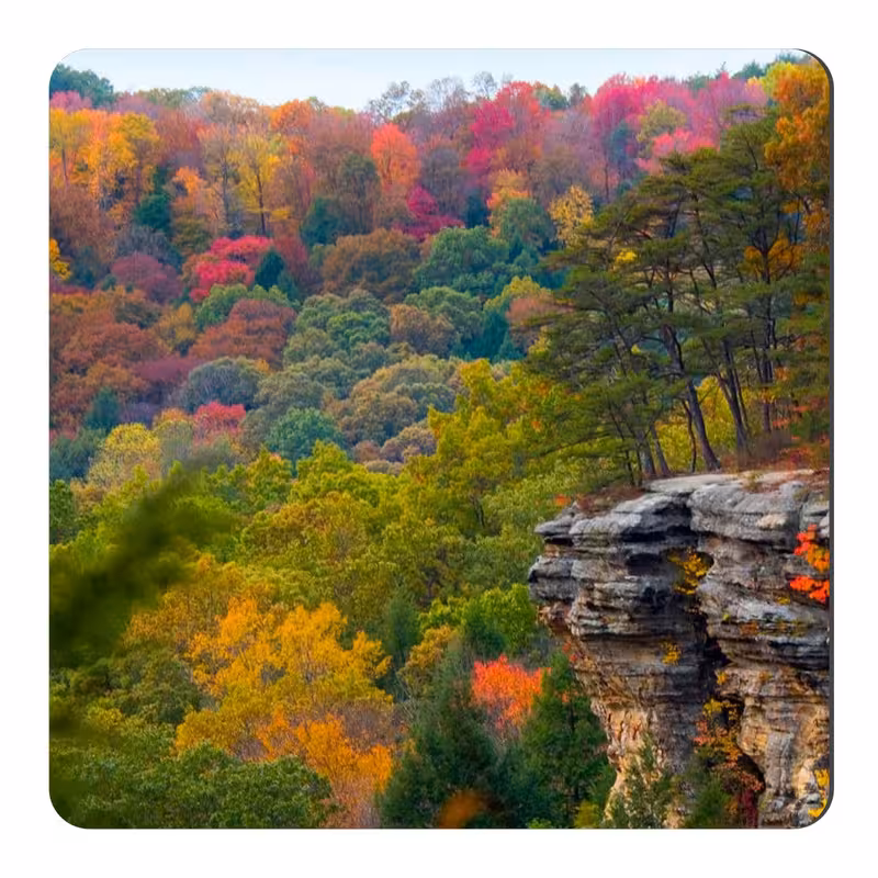 مگنت طرح طبیعت کانادا کد NIM334