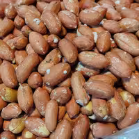 بادام زمینی درشت و باکیفیت آستانه (500 گرمی)