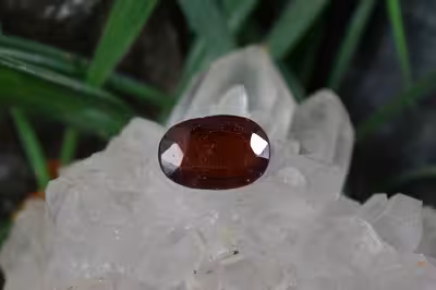 گارنت هسونیت