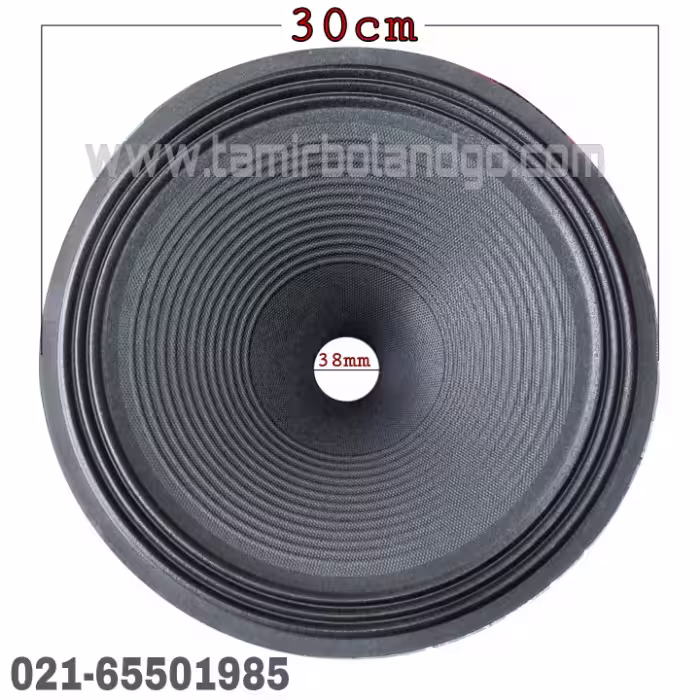 صفحه میدرنج 12 اینچ پرده دیافراگم میدرنج فول رنج 12 اینچ طرح دار midrange اکو H8