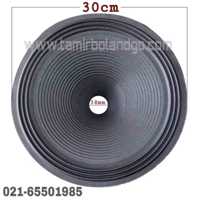 صفحه میدرنج 12 اینچ پرده دیافراگم میدرنج فول رنج 12 اینچ طرح دار midrange اکو H8