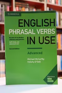 Phrasal Verbs In Use English 2nd Advanced