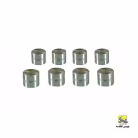 استکانی تایپید ریو