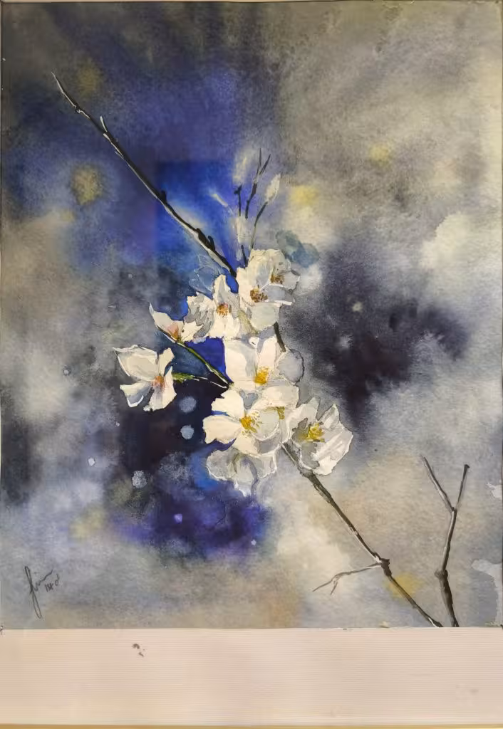 گل یاس سفید