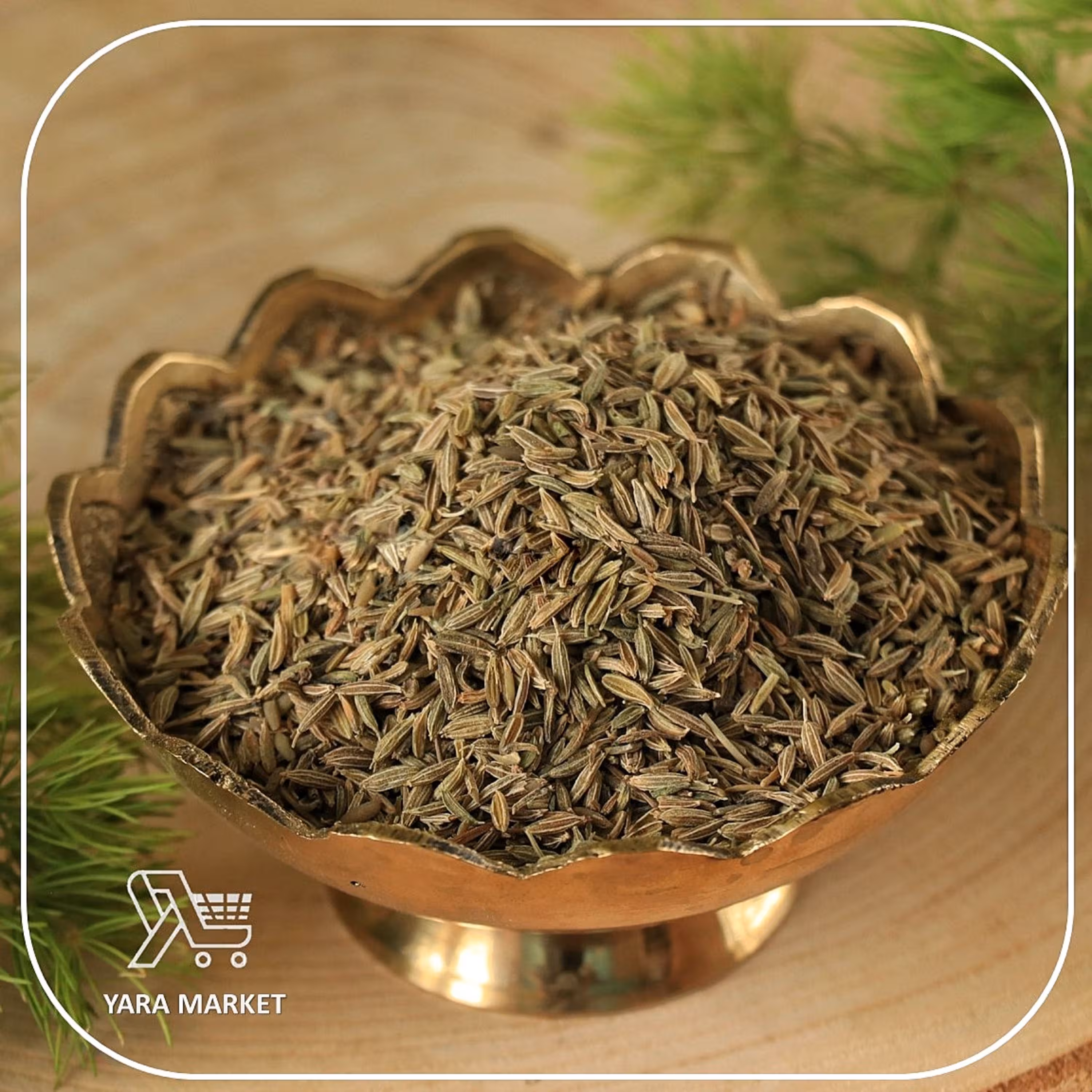 زیره سبز - 100 گرم