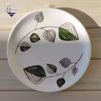 دیس گرد بزرگ سرویس پذیرایی رویش