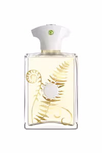 عطر ادکلن آمواج براکن مردانه | Amouage Bracken Man