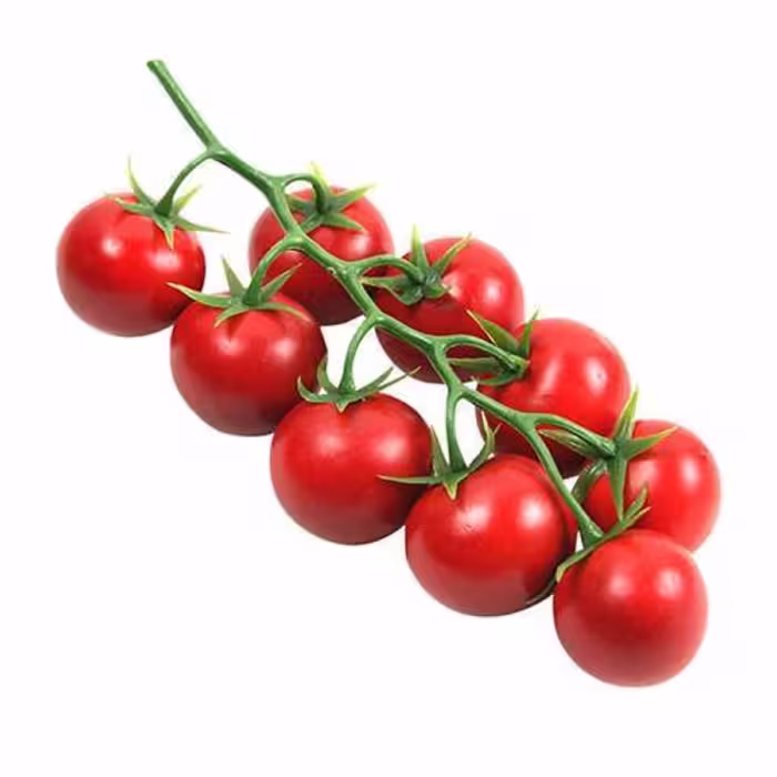 بذرگوجه گیلاسی بزرگ 10 عددی