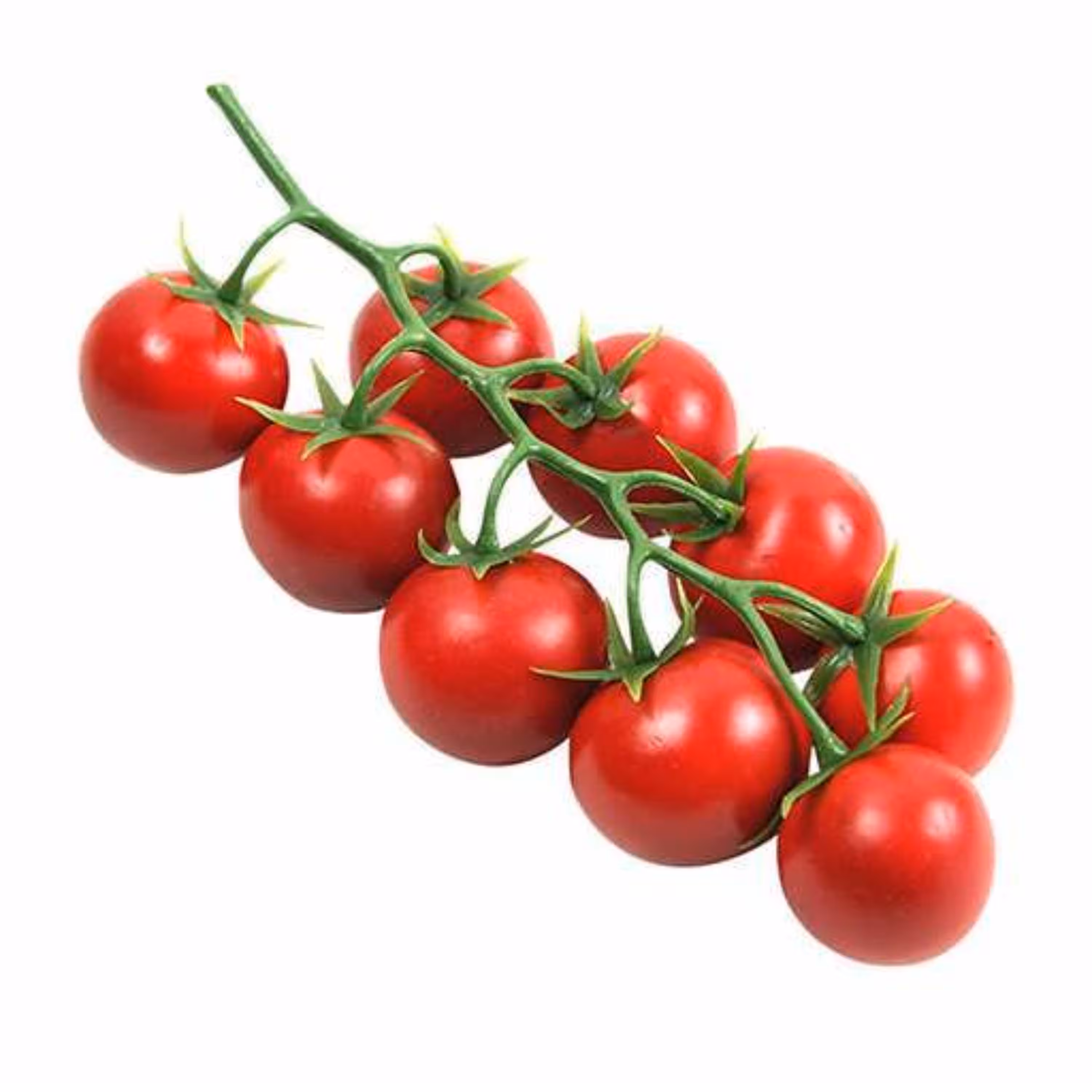 بذرگوجه گیلاسی بزرگ 10 عددی