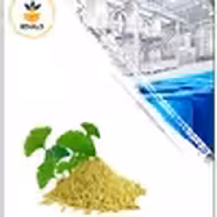 عصاره جینکو بیلوبا خشک (پودری)