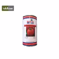 بذر گوجه فرنگی کینگ استون