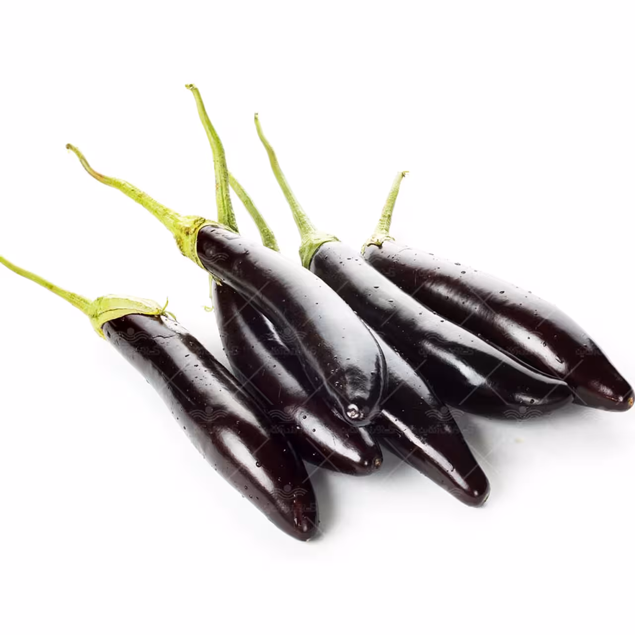 بذر بادمجان قلمی خانگی