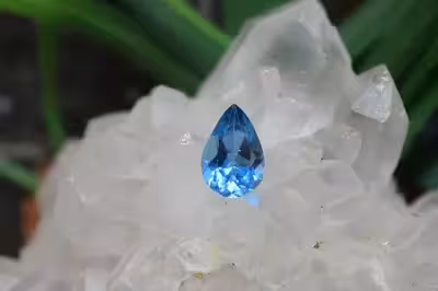 بلوتوپاز سوئیس