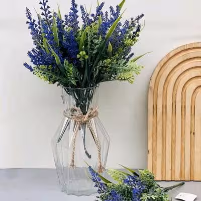 بوته لوندر وارداتی تراکم بالا