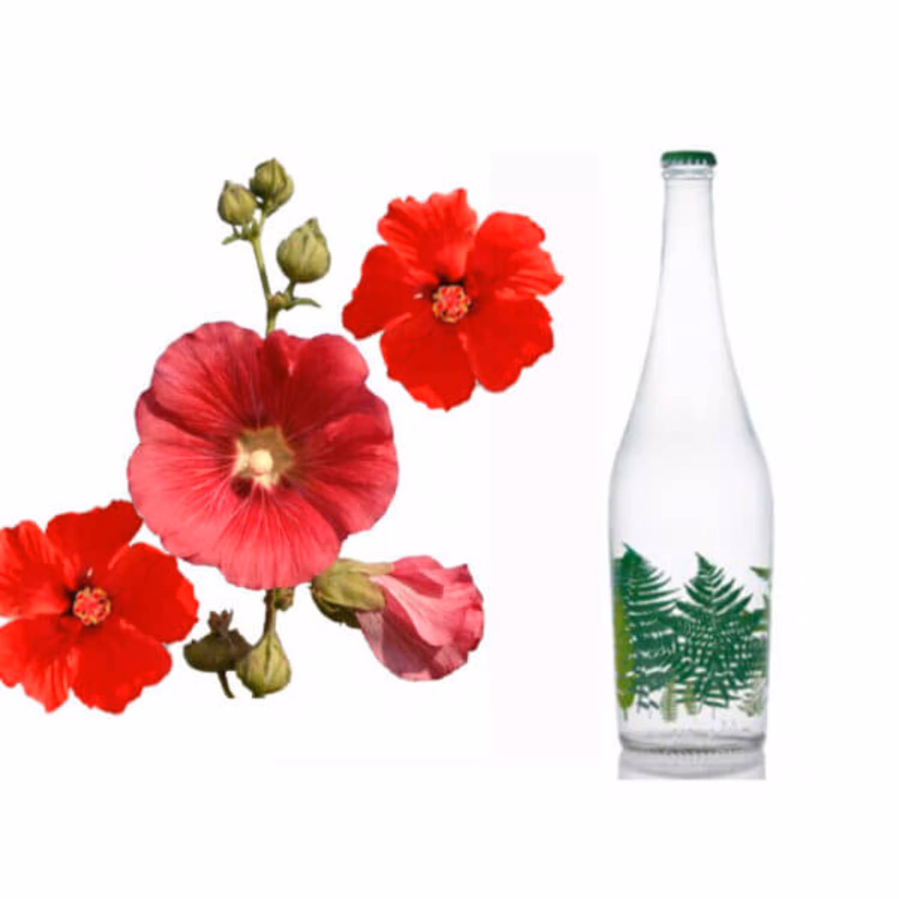 عرق گل ختمی 850 سی سی