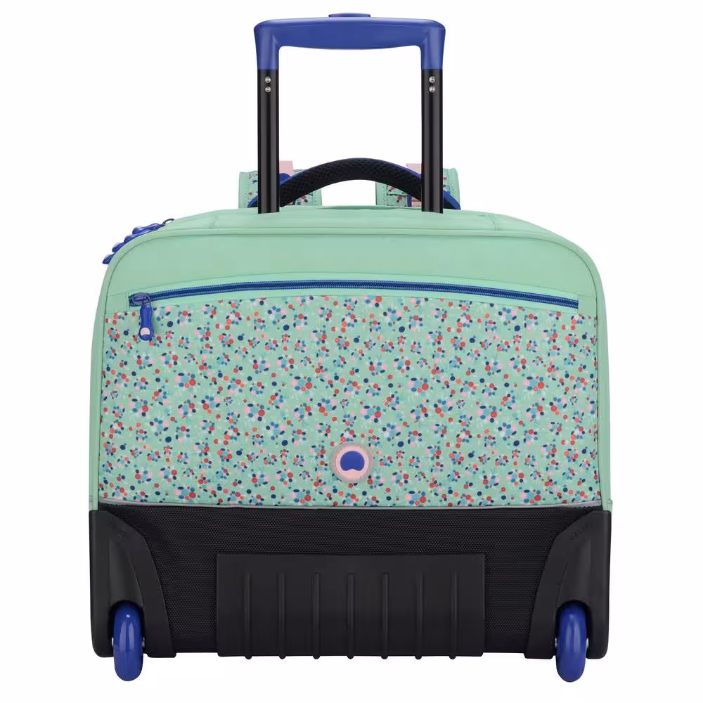 کوله پشتی مدرسه ای دلسی مدل سبز گلها