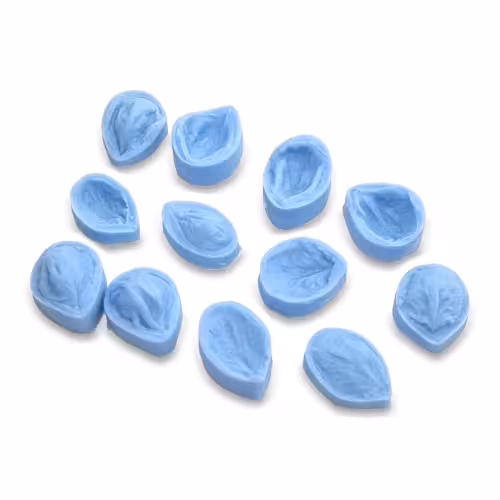 بودکور وينر سيليکوني گلبرگ 12 تايي انواع شکوفه 210025