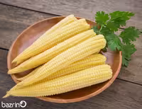 بذر ذرت زرد شیرین (بیبی کرن) مخصوص مصارف خانگی