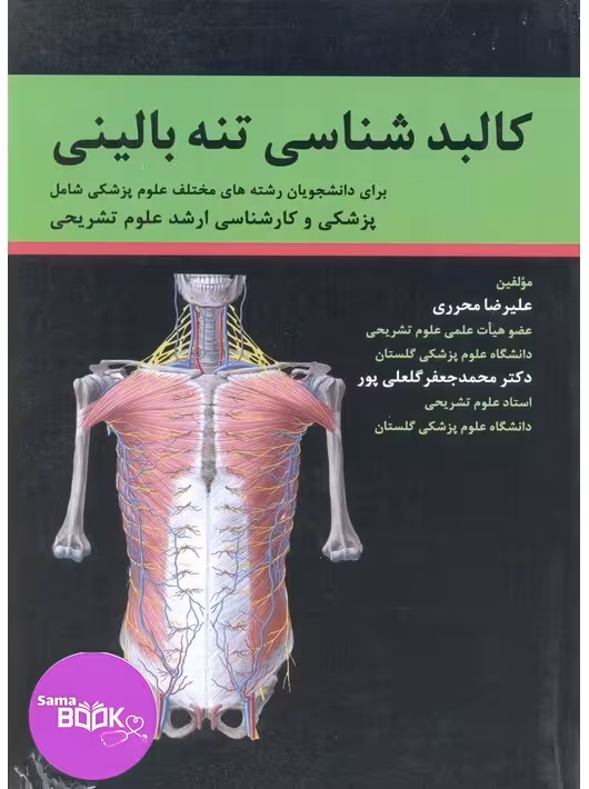 کالبد شناسی تنه بالینی