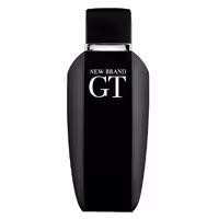 عطر مردانه نیو برند مدل GT