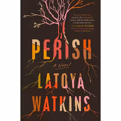 کتاب Perish اثر Latoya Watkins انتشارات Tiny Reparations Books