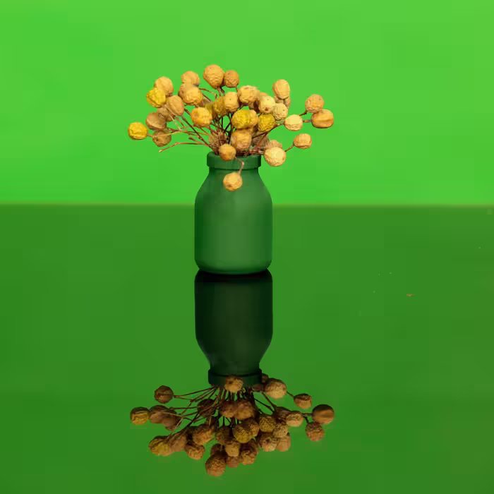 گلدان دکوری مدل شیشه ای کد 2P190 بسته 2 عددی