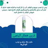 فیلتر تصفیه کننده آب یخچال و فریزر بلوط مدل 2500 G مجموعه 2 عددی
