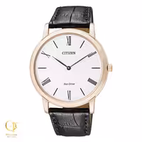 ساعت مچی سیتیزن مدل Citizen AR1113-12B