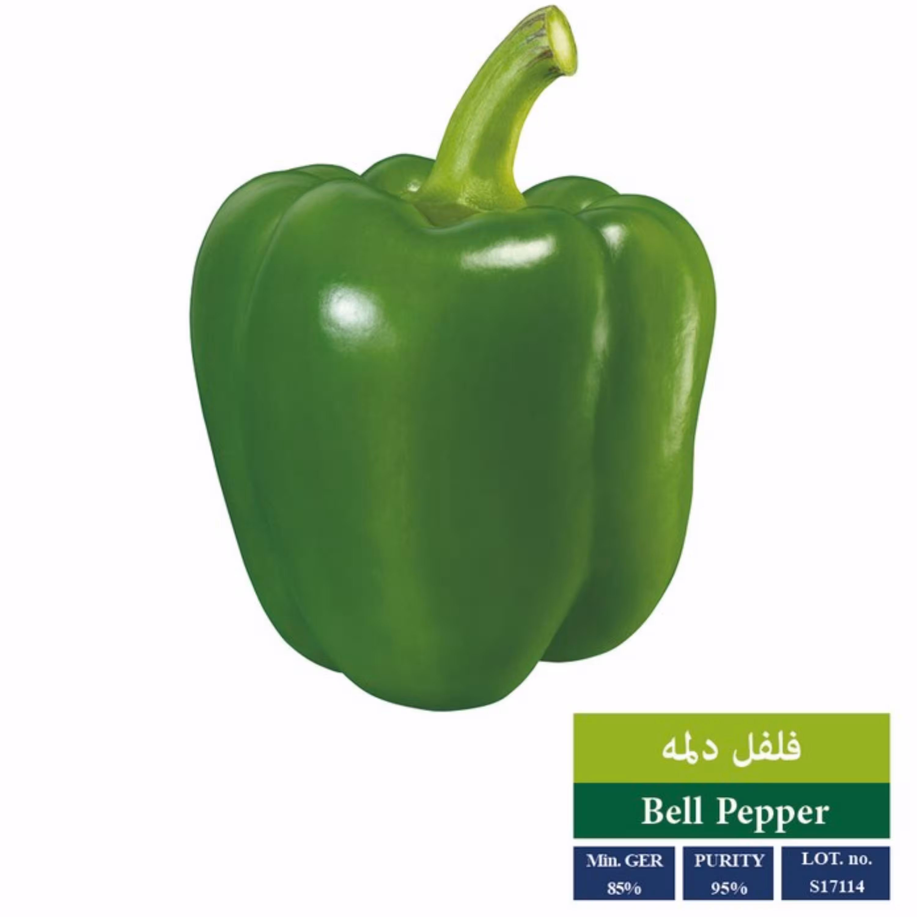 بذر فلفل دلمه سبز بذر طلایی رویان 