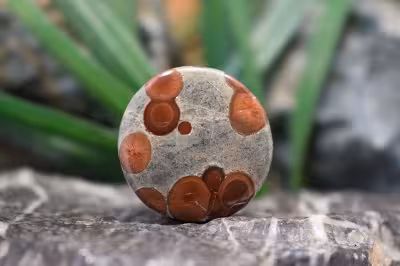 پینت وود ابسیدین