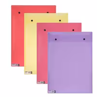 پوشه دکمه دار پاپکو مدل ارکید 124 - A3 -  بسته 4 عددی | چاوه