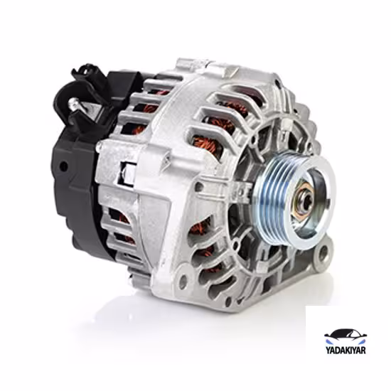 دینام دانگ فنگ – عظام