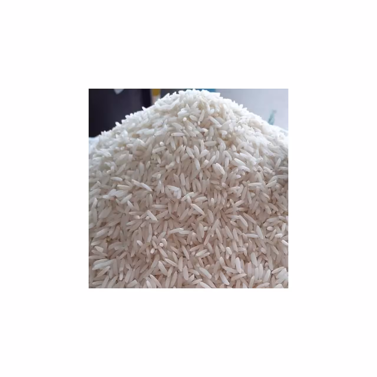 برنج سر گل طارم هاشمی فله 1000 گرمی