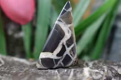 سپتارین مراکش اصل و طبیعی