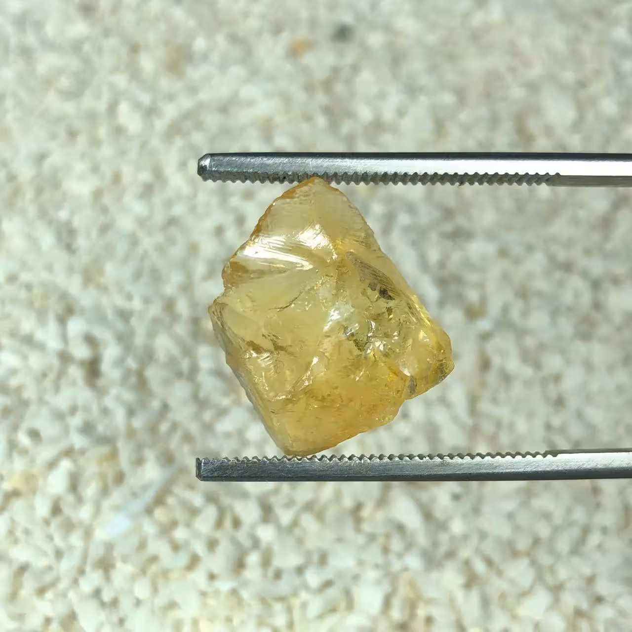 راف سیترین اصل برزیل 250865