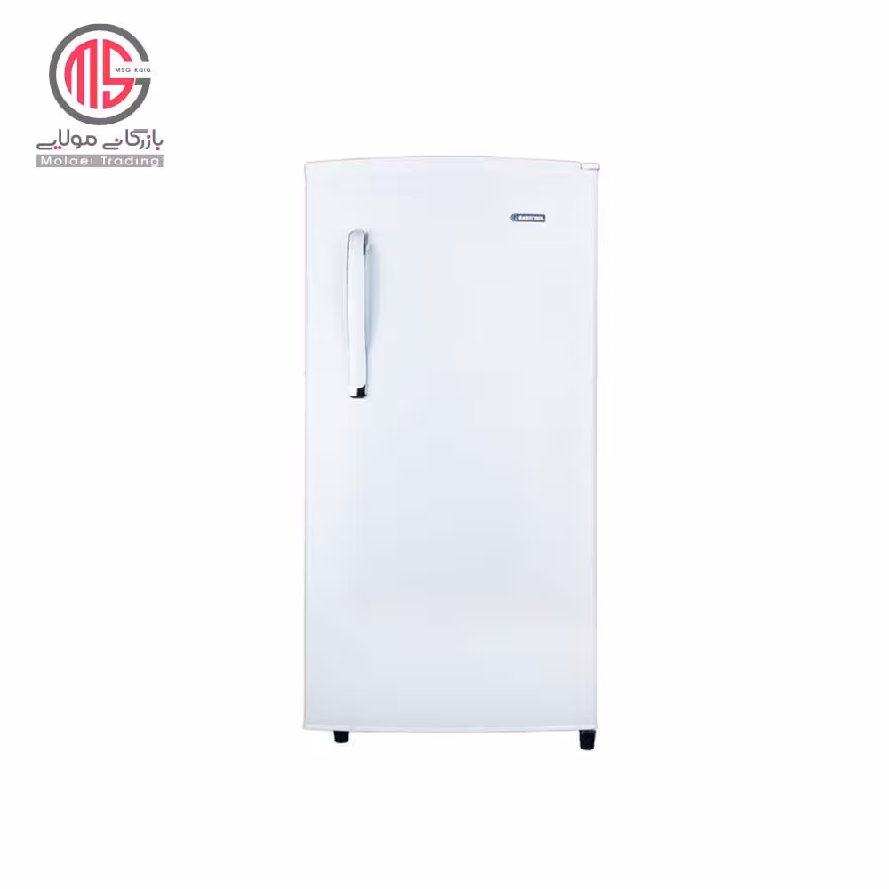 یخچال 9 فوت ایستکول مدل TM-919-DC