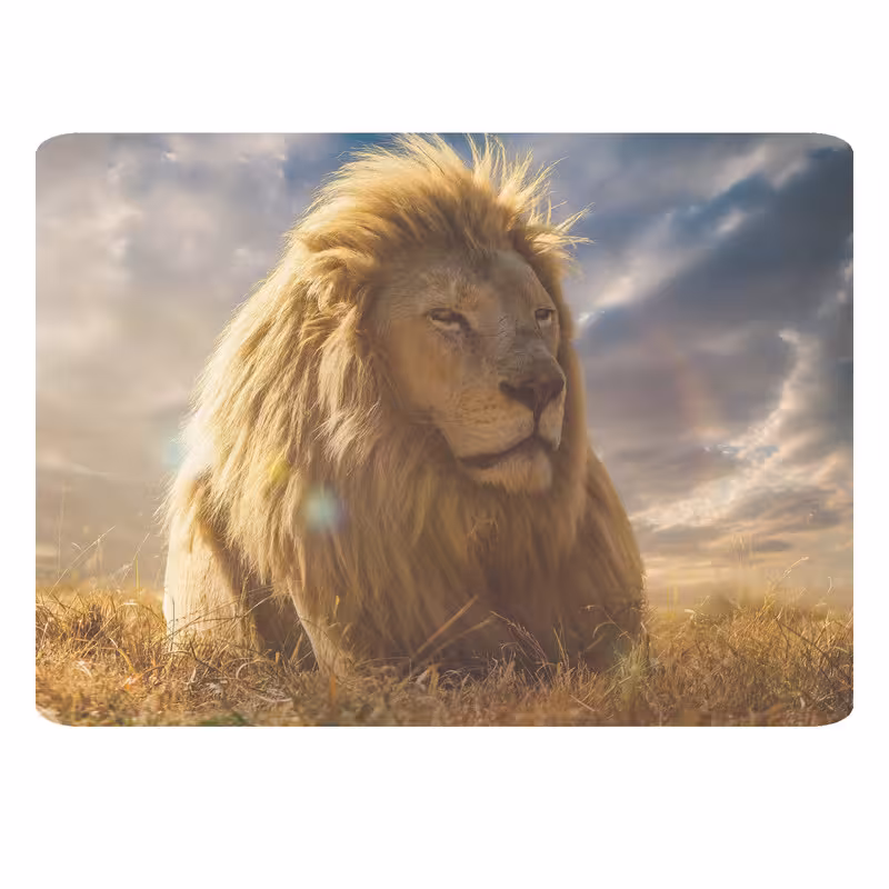 پد موس - پد ماوس چیتوکالا طرح شیر کد B175