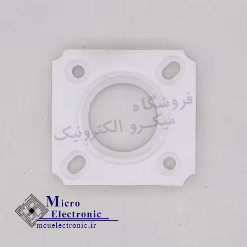 هولدر سی او بی 1919