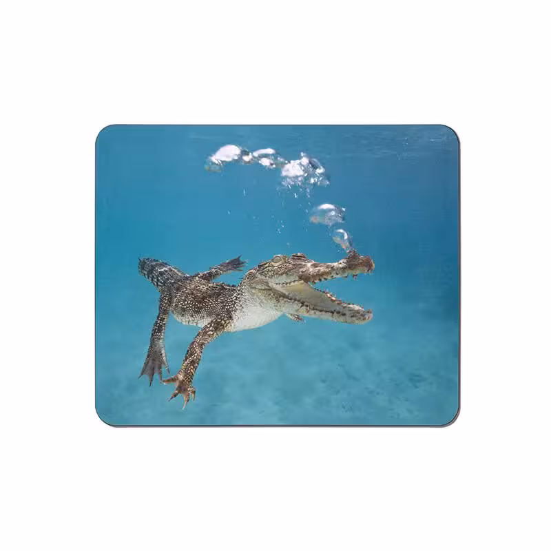 خرید و قیمت ماوس پد طرح تمساح کد 3696