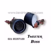 تویتر Boss یک جفت/ اتومبیل و اسپیکر