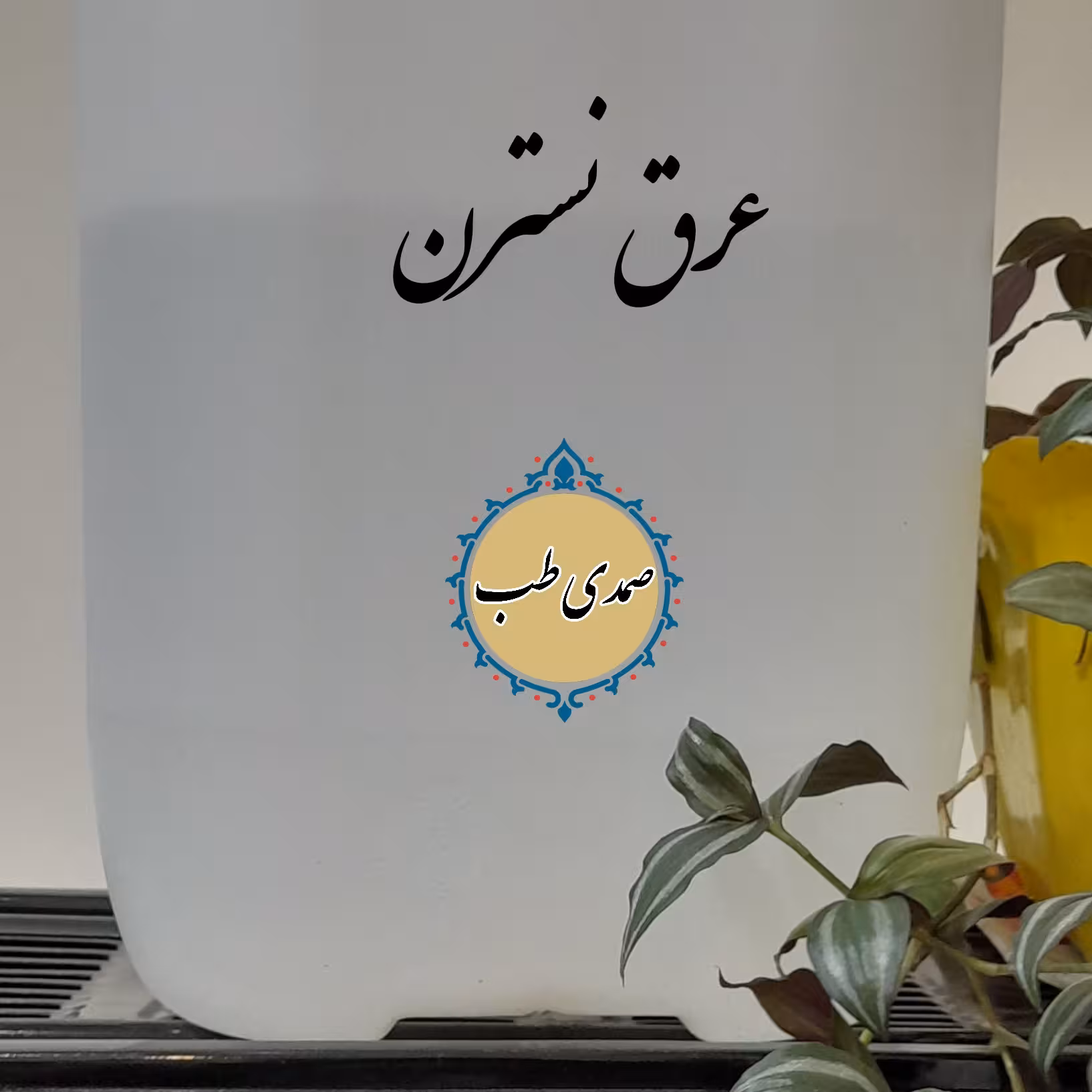 عرق نسترن 5عددبطری1000گرمی