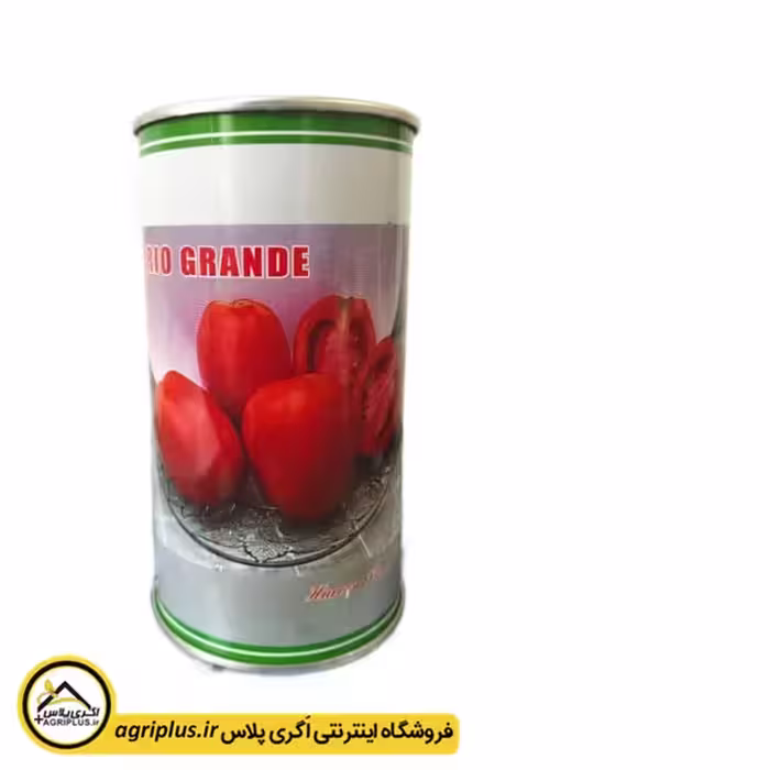 بذر گوجه فرنگی ریوگراند