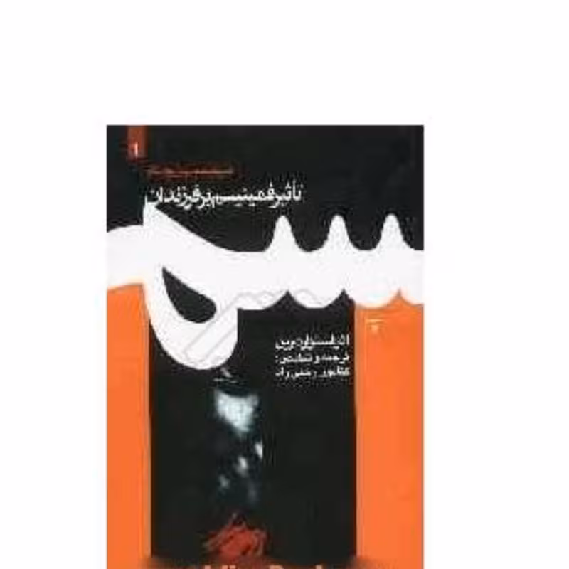 فمینیسم در ترازوی نقد  جلد اول تاثیر فمینیسم بر فرزندان

