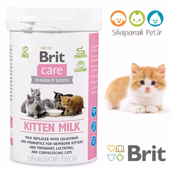 شیر خشک بچه گربه بریت