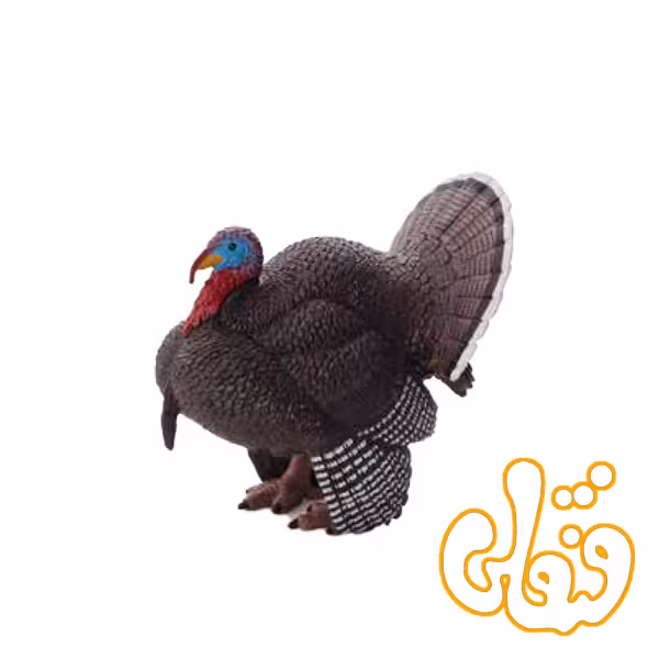 بوقلمون نر Male Turkey 387285