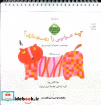 کتاب قصه،فکر،گفت و گو چه هوایی را دوست داری ، گلاسه،سیمی | ایده بوک