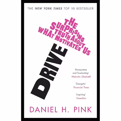 کتاب Drive اثر Daniel H. Pink انتشارات CANONGATE PRESS LTD